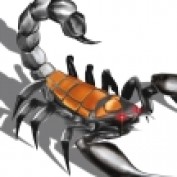 BILALSHAHID profile image