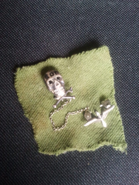 The pin Jessie wore on her uniform, the S.O.D emblem, Skull and Crossbones with rubies for eyes, and a set of wings. The pin Jessie wore on her uniform, the S.O.D emblem, Skull and Crossbones with rubies for eyes, and a set of wings.