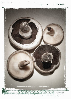Quick and Easy Appetizer: Stuffed Mushrooms!