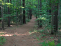 Maine Nature Walk: Thorncrag Nature Sanctuary in Lewiston