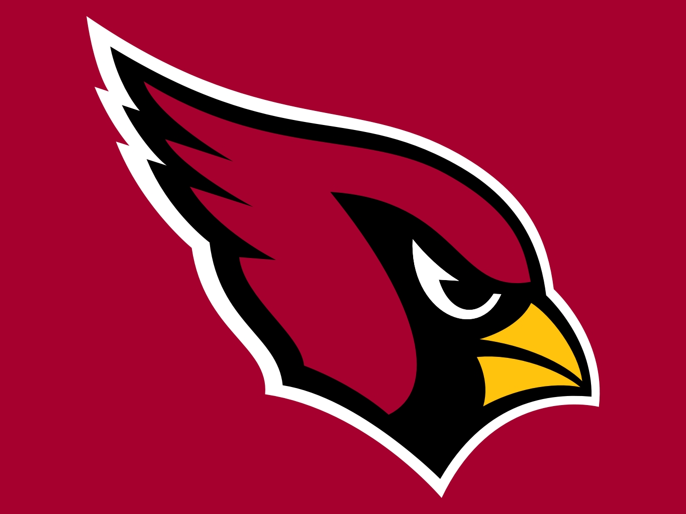 Offseason In Review: Arizona Cardinals