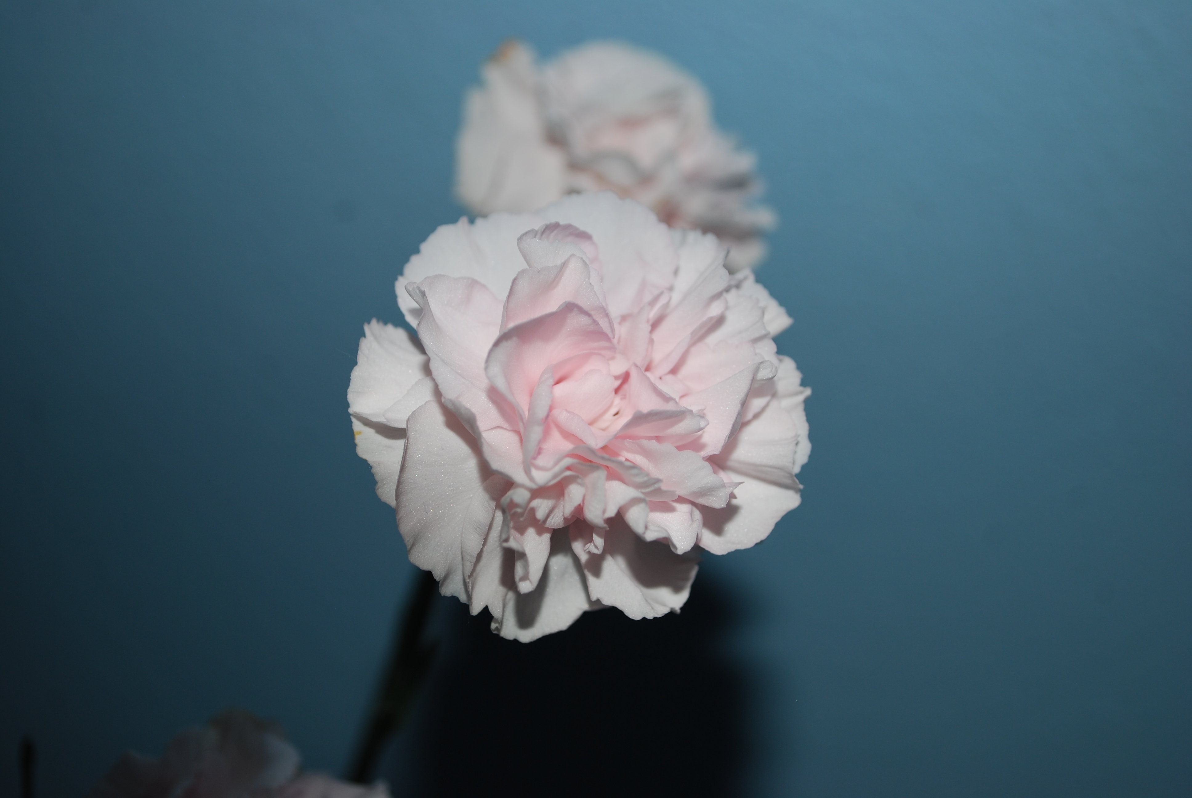 HubPages profile picture for @saltwater