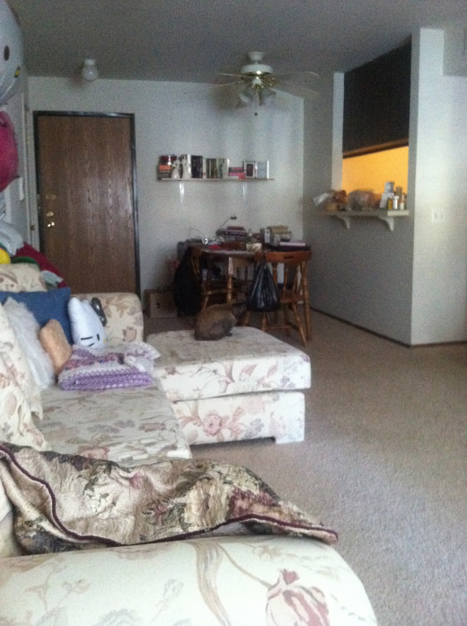 A picture of my old living room and my pet bunny at the time, Carmine.
