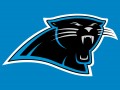 2014 NFL Season Preview- Carolina Panthers
