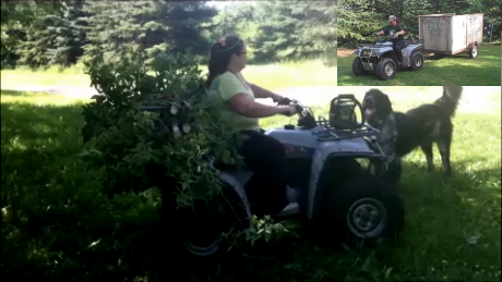 Yamaha Timberwolf 250CC has all the power that I really need.