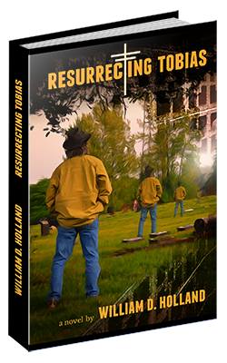 My novel