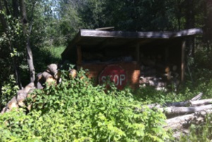 If you plan to save wood for future burning, it is a good idea to store it in a shelter to help keep it dry.
