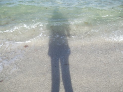 My own photo on Vanderbilt Beach