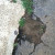 Asphalt breaking away from concrete--the two should never have been paired. Asphalt breaking away from concrete--the two should never have been paired.