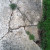 Old concrete crumbling along the sides of a vintage driveway. Old concrete crumbling along the sides of a vintage driveway.