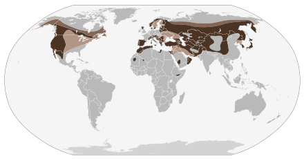 The golden eagle's full range: Light brown: wintering areas. Brown: Permanent resident. Dark brown: Breeding areas.