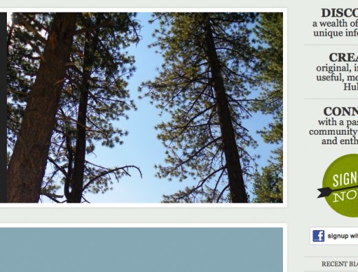This is the image that resulted from the above screen grab.