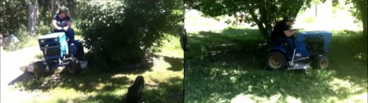 Mowing around trees is always hazardous because the branches can scuff across the operator's body and even slap them in the face. Always wear safety glasses when operating a lawn mowing machine.