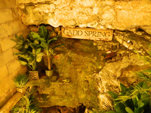 In one home/shop there is actually a spring bubbling up from the ground INSIDE the house!