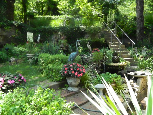 The exterior garden of the house with the spring inside.