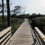 The Boardwalk Between Gulf Breeze and Shady Pines - Cape San Blas, FL