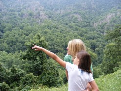 Great Smoky Mountain Vacations | Clingmans Dome and Other Attractions