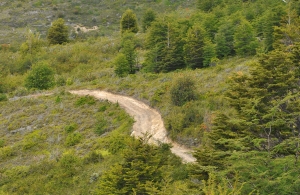 Dirt road on the hillside