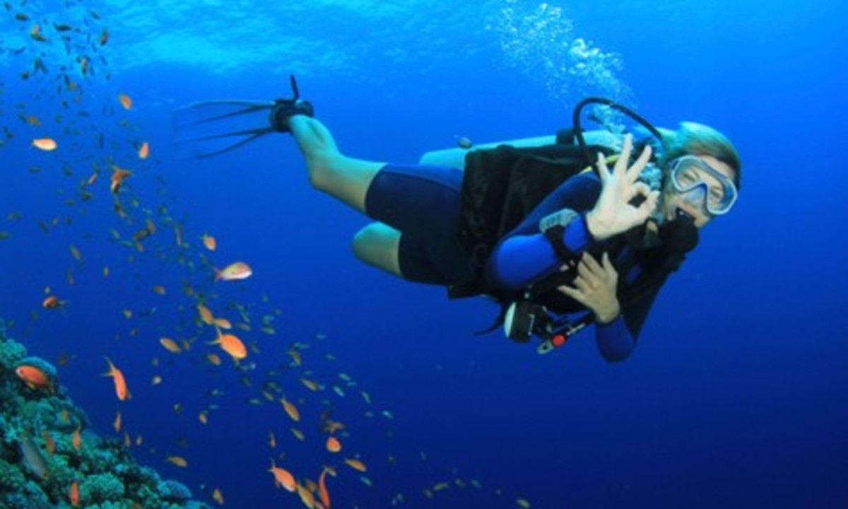 Scuba Diving Safety Tips for Beginners