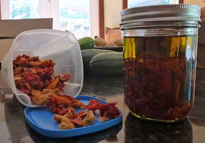 Give a gourmet gift of sun-dried tomatoes. Commercial sun-dried tomatoes are never dried by the sun.