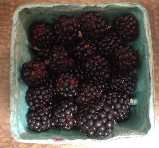 Fresh blackberries from the Wickford farmer's market.