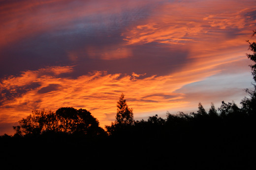 What a beautiful World!