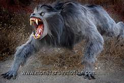 Another Werewolf