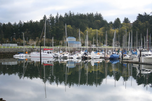 Cap Sante Marina Anacortes