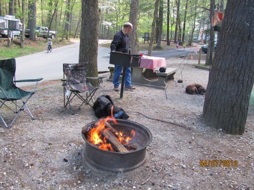 Wooded Campsites - most with plenty of room to spread out.