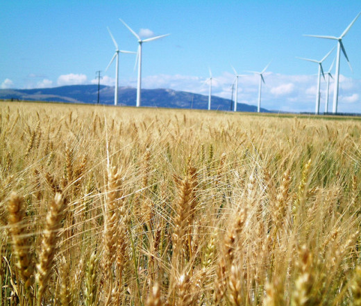 Wind Farming