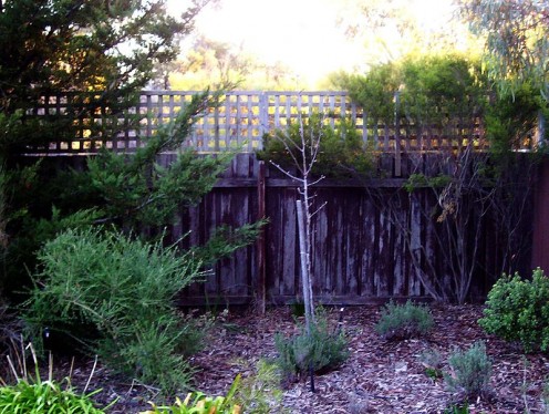 If my own personal boundaries could be illustrated, they would look something like this. Yes ... you could probably drive a bulldozer over this barrier, but most reasonable people won't. This fence keeps most bad stuff out, and some good can leak in.