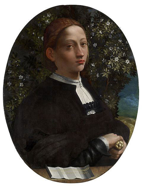 Dosso Dosi (?), Portrait of a Youth (Lucrezia Borgia?) a. 1518, Melbourne Victoria National Gallery