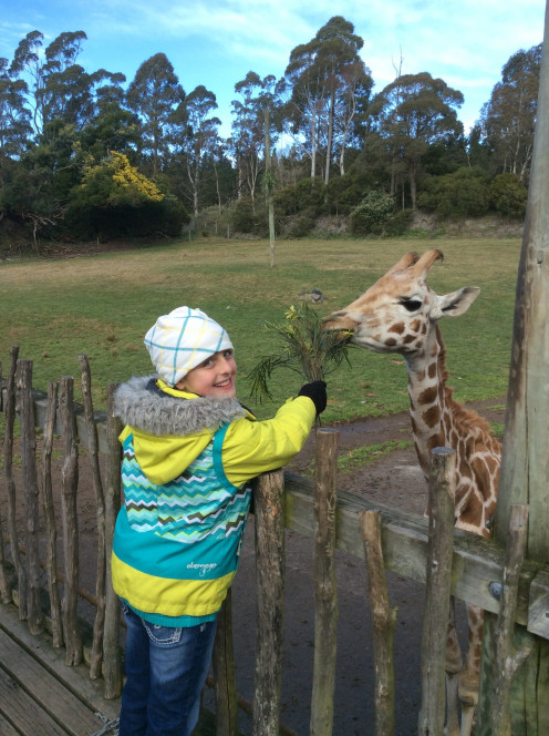 Feeding the Baby Giraffe, Fernando