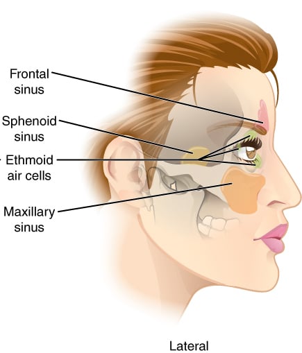 Continuously clogged sinuses can put a real damper on your quality of life.