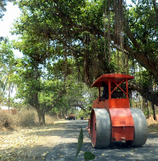 Near Devarayanadurga - Banyan-Shrouded Roads 
