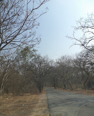 Devarayanadurga State Forest