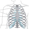 Severe Right Side Pain Under Ribs and in Back