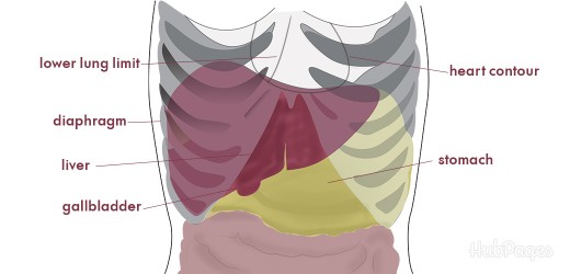 Why does the right side of the leg hurt under the rib Why does the right side of the leg hurt under the rib