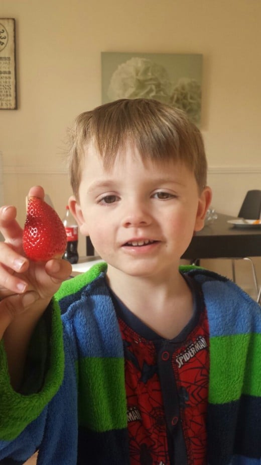 Huge strawberries every day, for free.