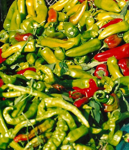 Peppers from the Farmer's Market.