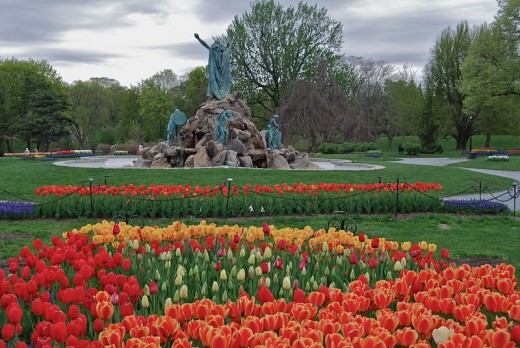 Tulips in Washington Park near King Memorial Fountain