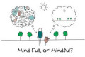 Mindfulness Skills and Exercises