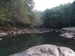 What Did God Create? The Bible Says Everything.