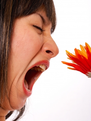 Pollen Allergy