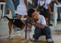 Choosing the Best Dog Muzzle For Any Situation