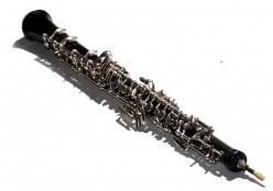 Music is My Bag: Confessions of a Lapsed Oboist, Embracing the Band Geek Within