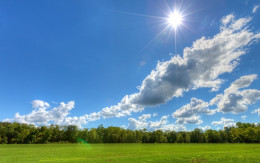 https://usercontent1.hubstatic.com/9229238_f260.jpg