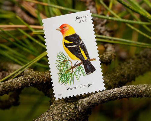 Western Tanager stamp of the United States Postal Service Songbird series
