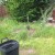 The remaining dirt was raked over the area which is being allowed to go wild until it was almost level with the lawn. The remaining dirt was raked over the area which is being allowed to go wild until it was almost level with the lawn.