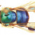 Euglossa cyanura male, by Ismael A. Hinojosa-D� & Michael S. Engel, licensed under
CC BY 3.0 Euglossa cyanura male, by Ismael A. Hinojosa-D� & Michael S. Engel, licensed under CC BY 3.0